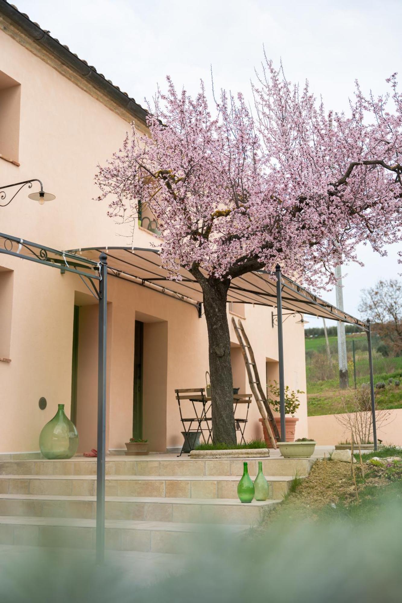 B&B Le Rondini Ostra Senigallia Casine  Luaran gambar